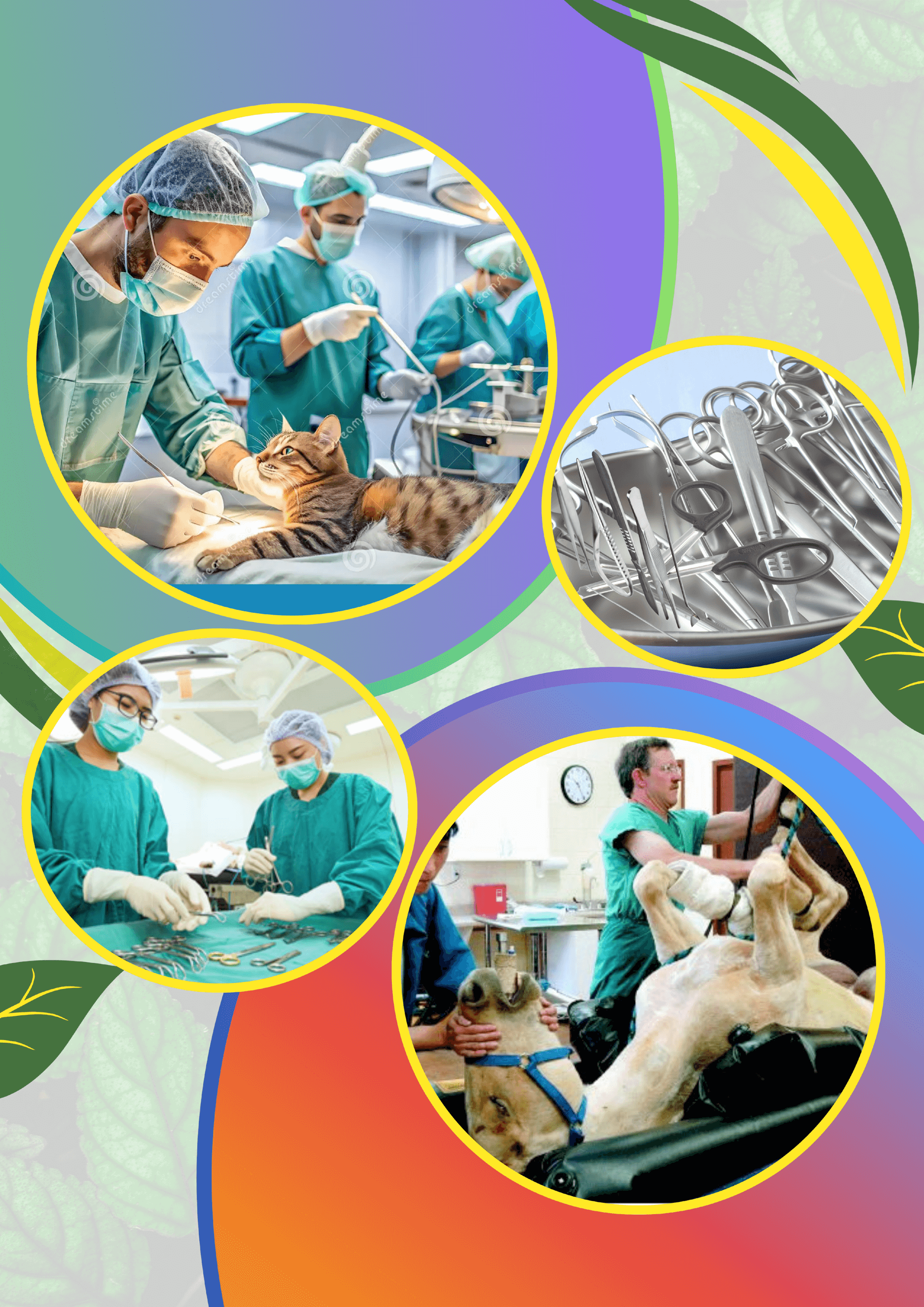 SURGICAL INSTRUMENTS