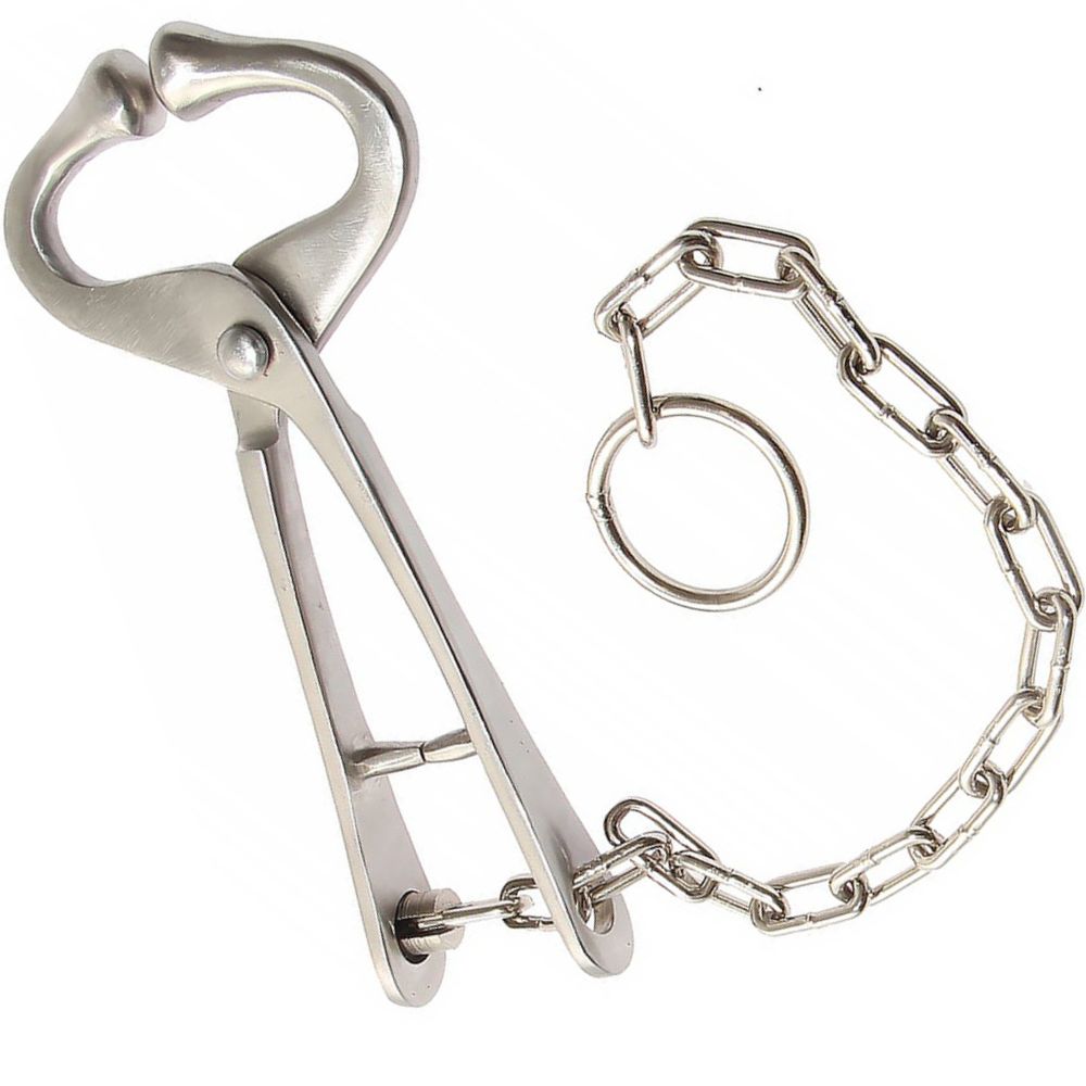 (WI-831) BULL LEAD WITH CHAIN????