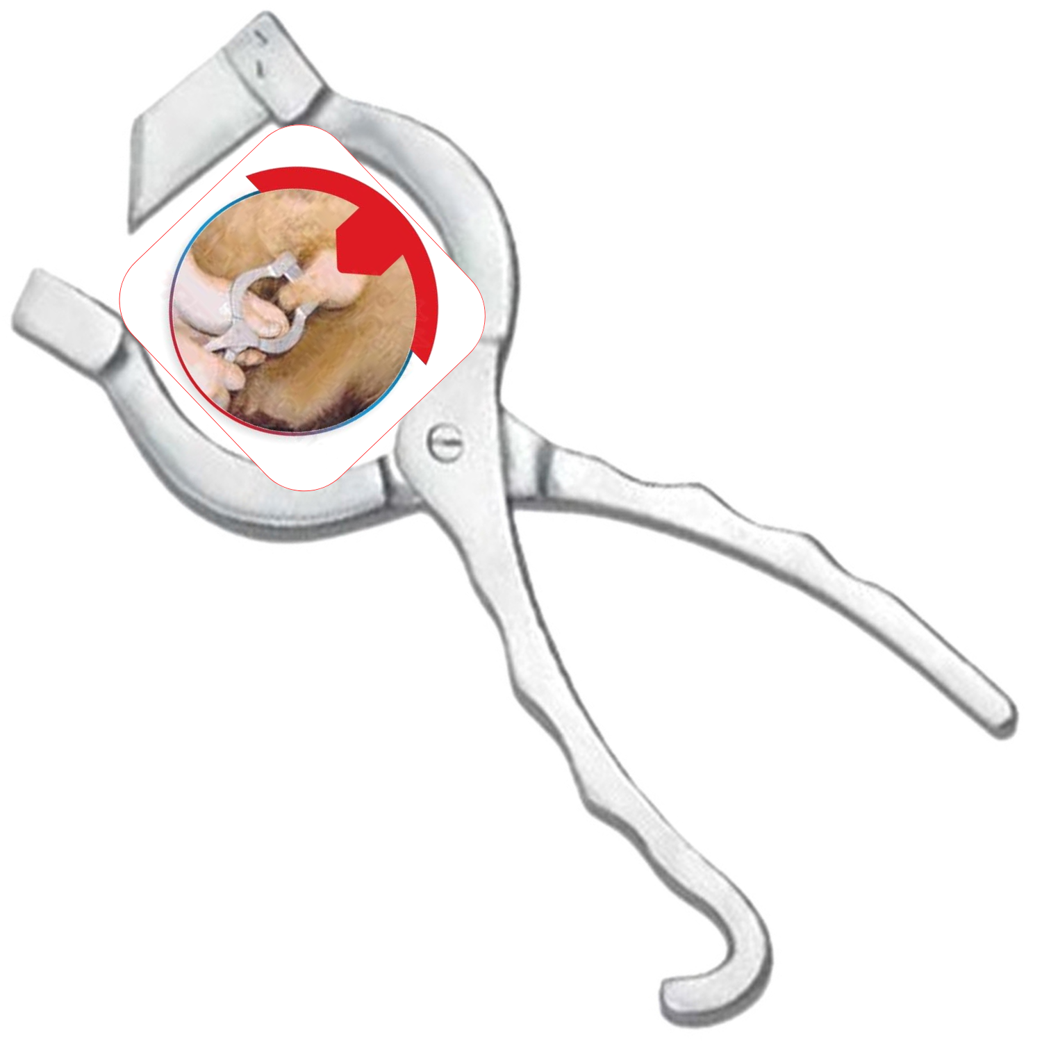 (WI-667) NEWBERRY CASTRATING KNIFE????