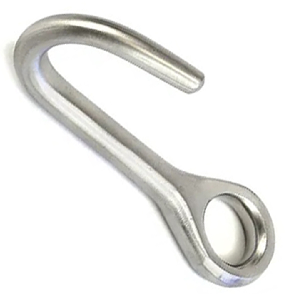 (WI-717) Ostertag’s Blunt Eye Hook????