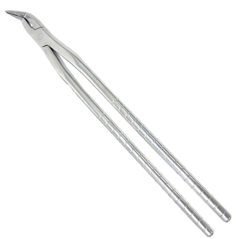 (WI-15009) REINFORCED FINE NOZZLE-EQUINE DENTAL FRAGMENTS????