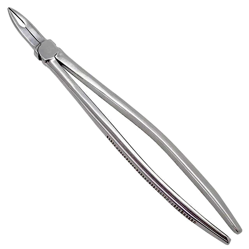 (WI-15010) DELICATE LONG MOUTHPIECE FOR WOLF TOOTH????