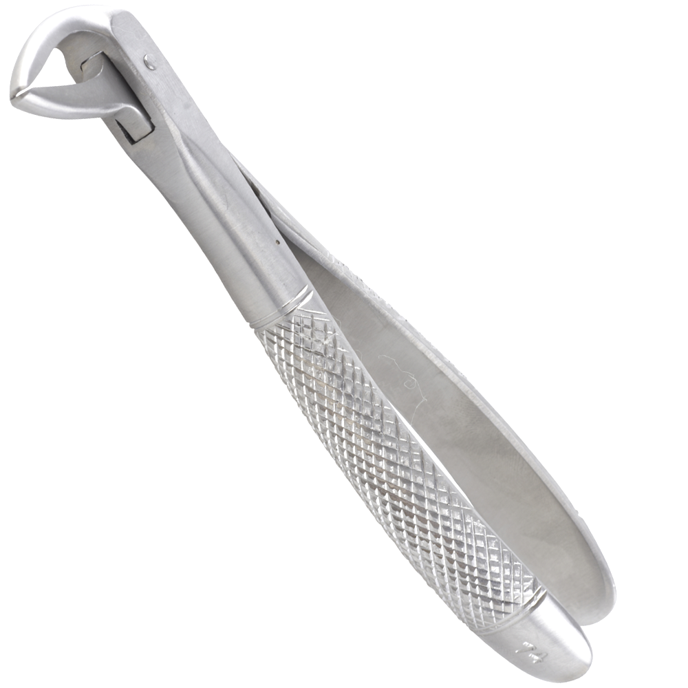 (WI-15029) DENTAL FORCEP CURVED????