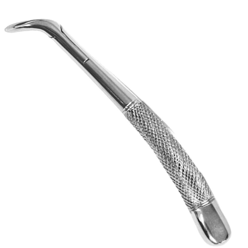 (WI-15093) NARROW JAW DENTAL FORCEP CATS/DOGS????????