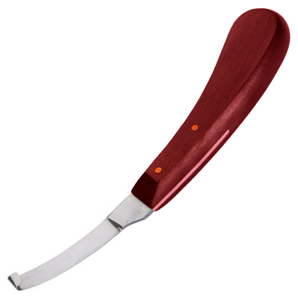 (WI-1240-R) HOOF KNIFE NARROW BLADE RED WOOD HANDLE????????????