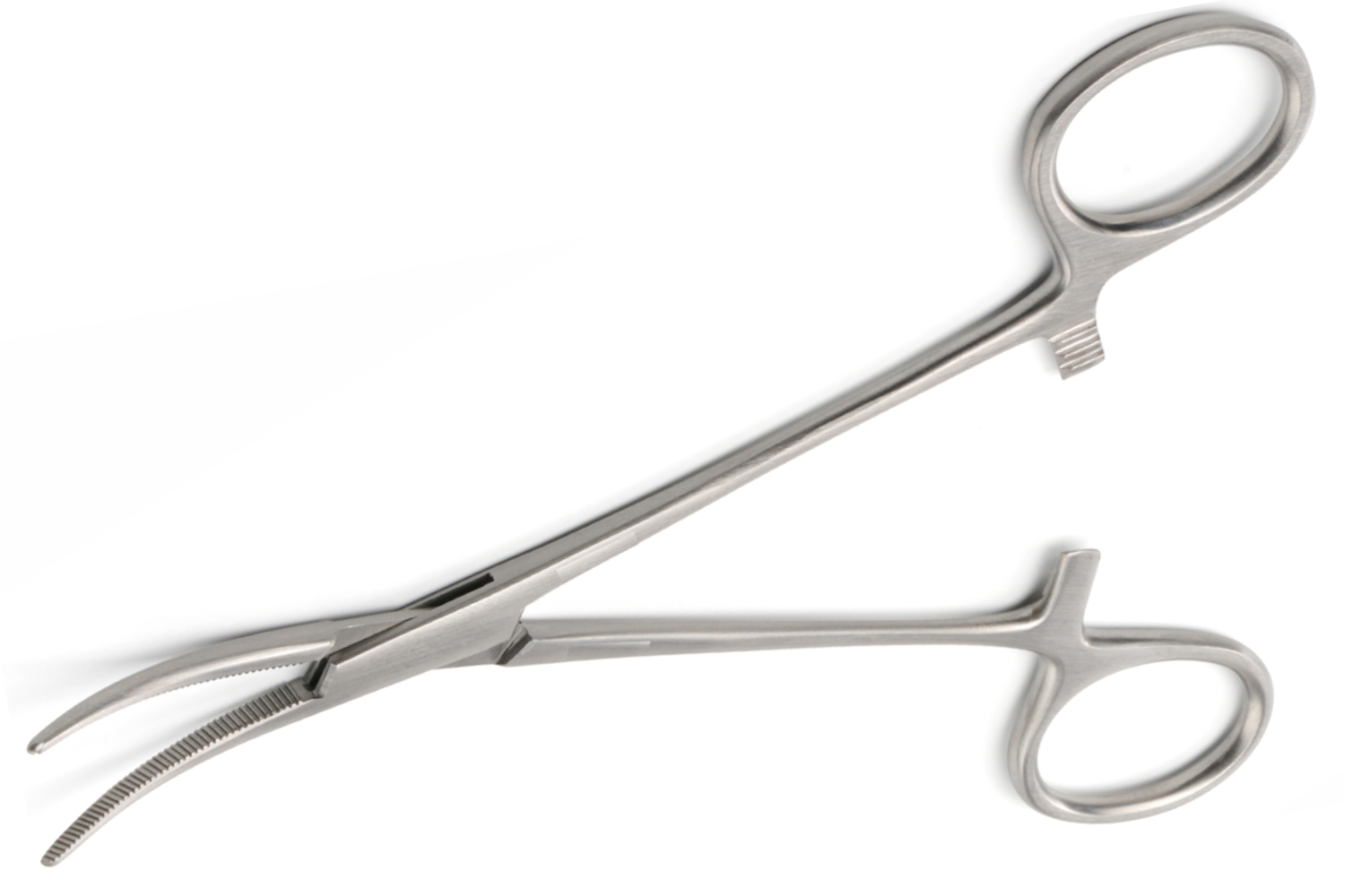 (WI-10018)CRILE ARTERY FORCEPS, CURVED✂