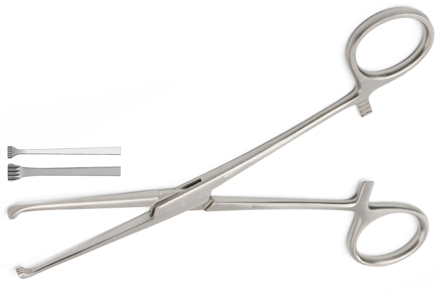 (WI-10022) ALLIS BABY TISSUE /ORGAN HOLDING FORCEPS 3x4TEETH✂