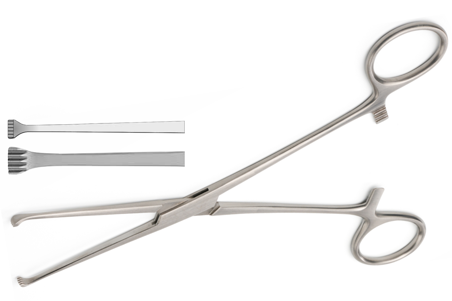 (WI-10023) ALLIS BABY TISSUE /ORGAN HOLDING FORCEPS 4x5TEETH✂