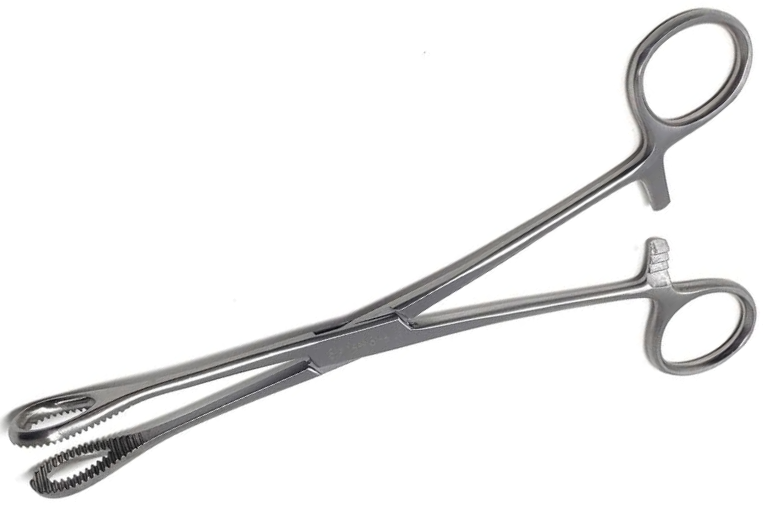 (WI-10039) SPONGE FORCEPS✂