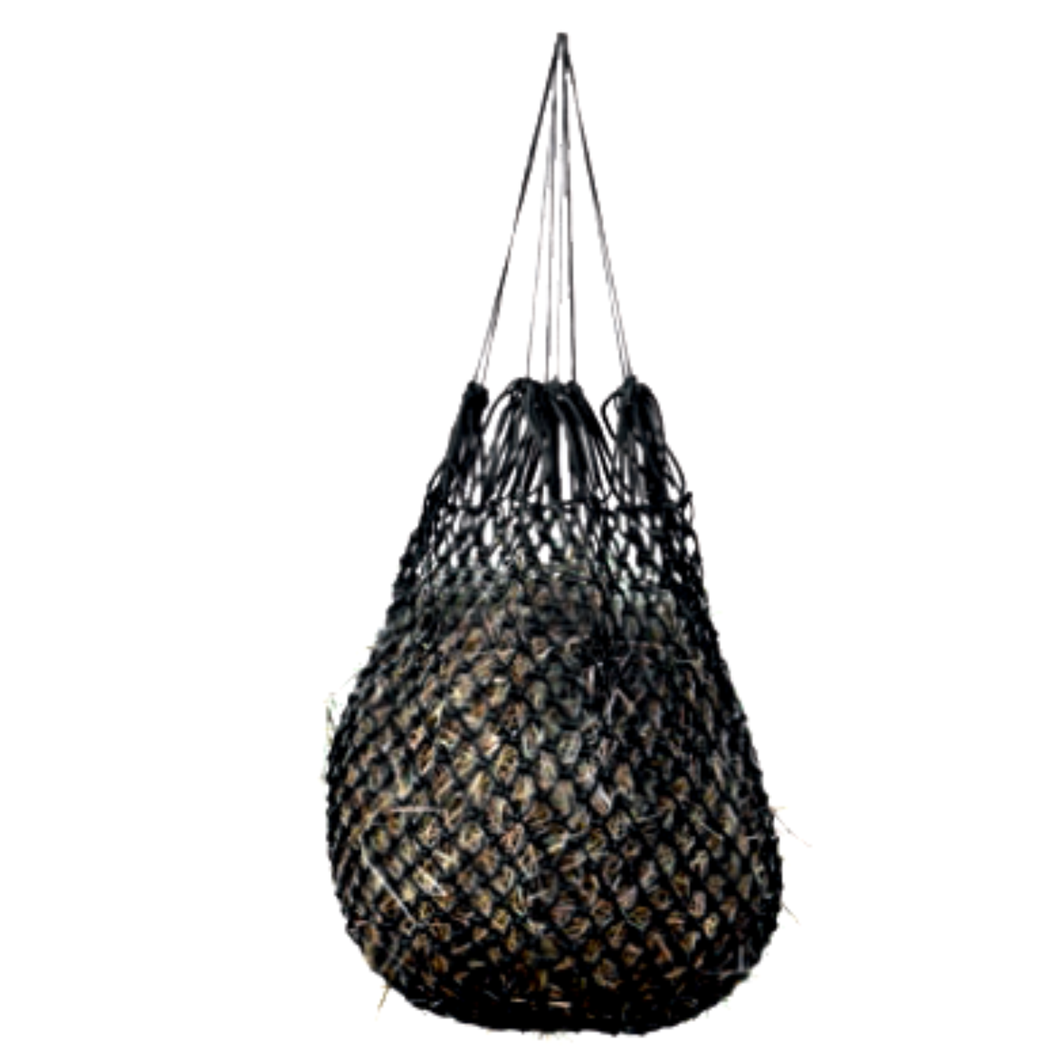 (WI-625) HEY NET