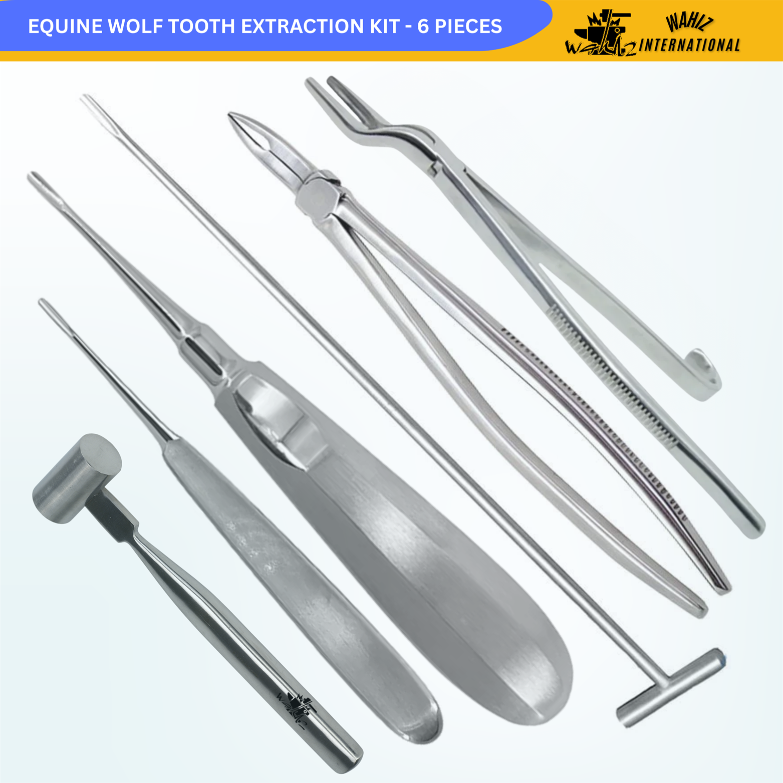EQUINE DENTAL TOOLS