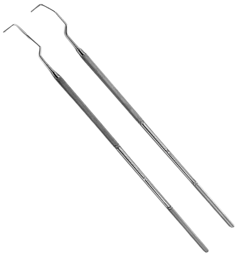 (WI-160024) PAIR OF LEFT AND RIGHT DENTAL PROBES